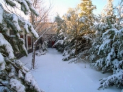 Snowy residence